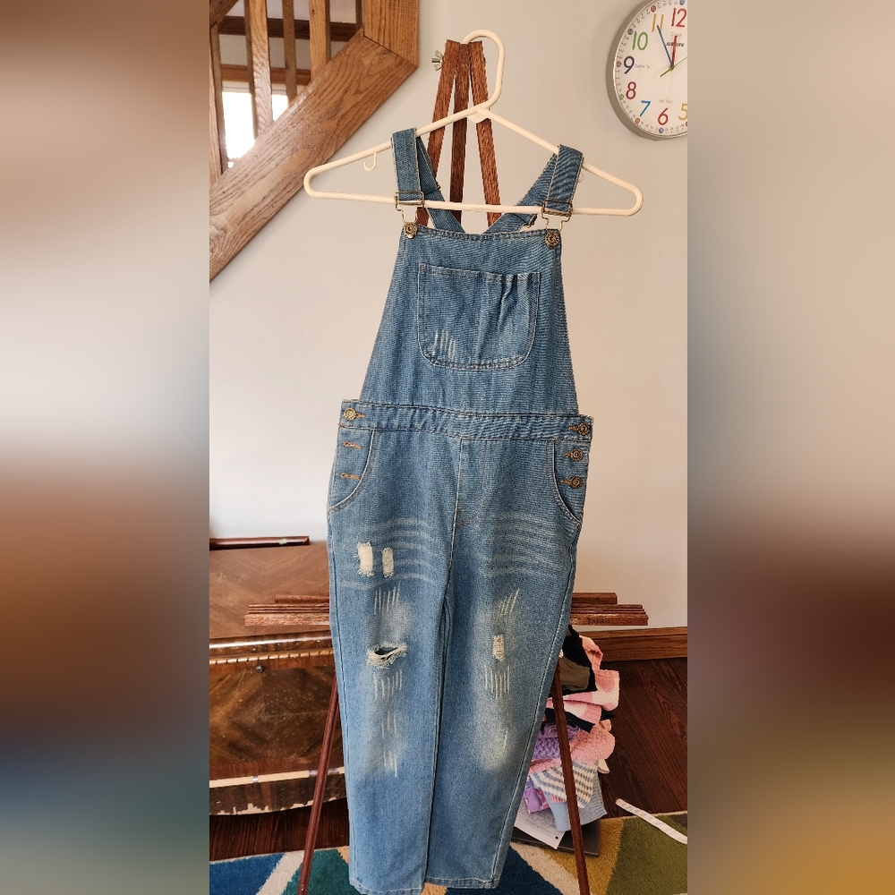 Denim Overalls